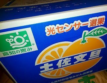 ふるさと 土佐文旦 2018 (5).jpg