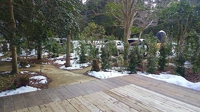 八日市の社 (14).jpg