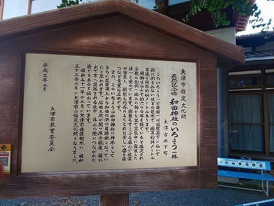 和田神社 (21).jpg