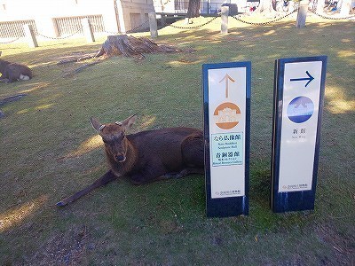奈良ホテル (1).jpg