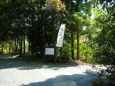 野坐 (35).jpg