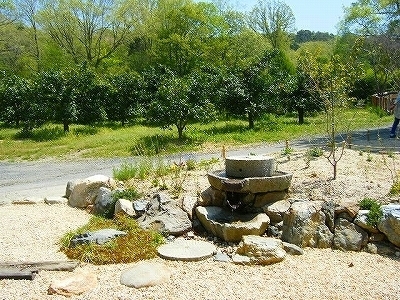 野坐 (44).jpg