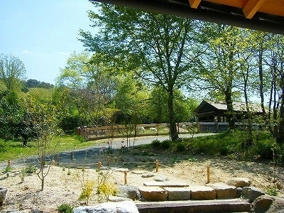 野坐 (45).jpg