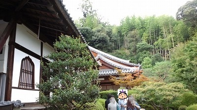 鈴虫寺 (8).jpg