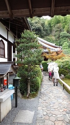 鈴虫寺 待ち列.jpg