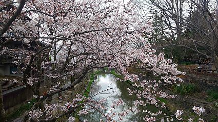 ゴーイング 八幡堀(10).jpg