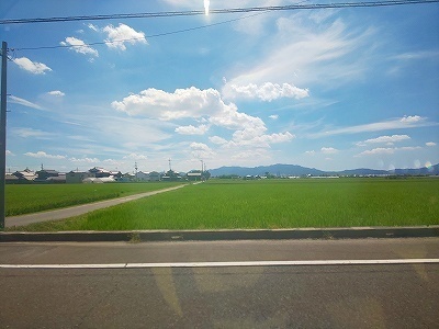 ニコラオカフェ (1).jpg