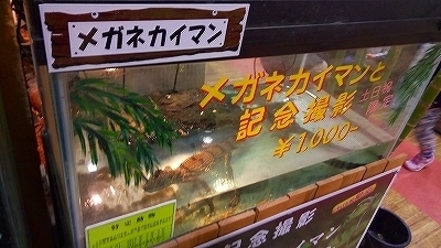 IMG_20170321_134508.jpg