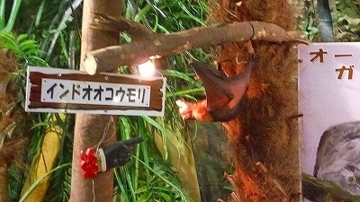 IMG_20170321_140312.jpg
