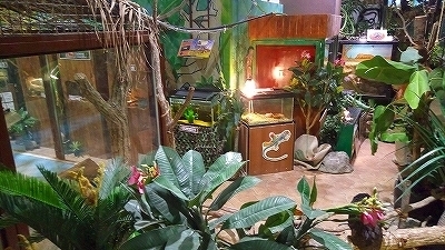 IMG_20170321_140609.jpg