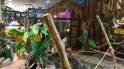 IMG_20170321_140612.jpg