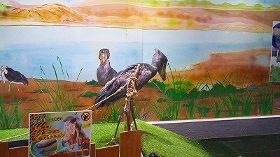 IMG_20170321_141004.jpg