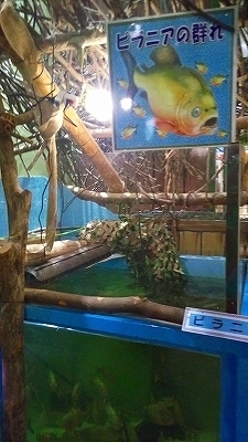 IMG_20170321_141224.jpg