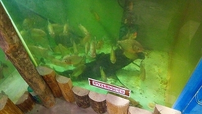 IMG_20170321_141235.jpg