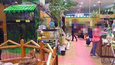 IMG_20170321_142408.jpg