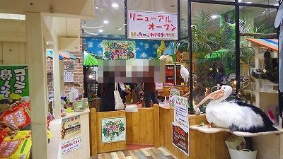 IMG_20170321_142816.jpg