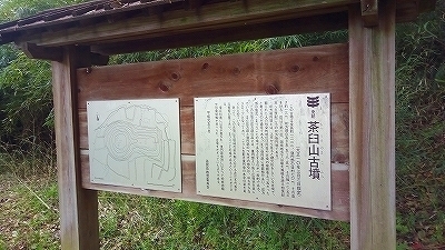 IMG_20170424_140416.jpg