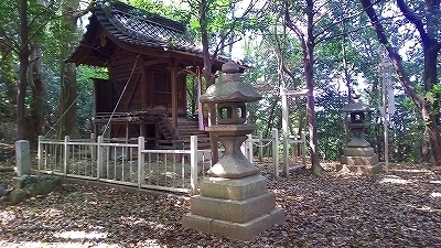 IMG_20170424_140624.jpg