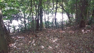 IMG_20170424_140637.jpg