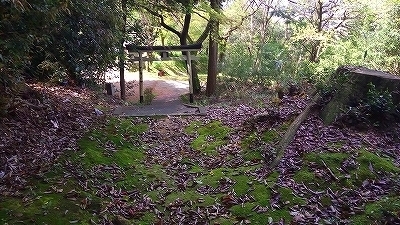 IMG_20170424_140727.jpg