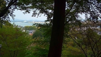 IMG_20170424_141129.jpg