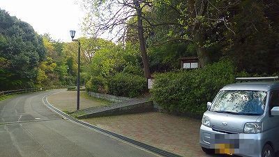 IMG_20170424_141147.jpg