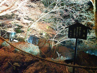 KIMG0044.jpg