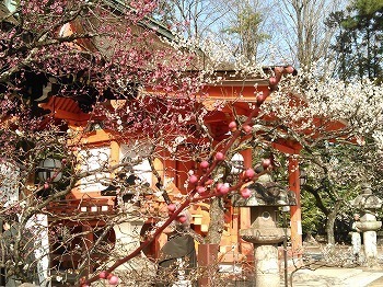 KIMG0429.jpg