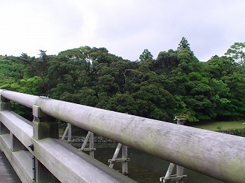 PIC_0050.jpg