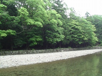PIC_0064.jpg