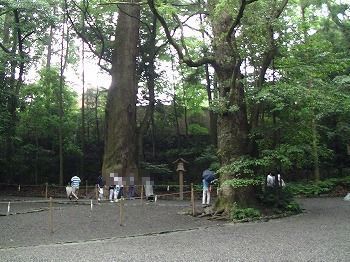 PIC_0068.jpg