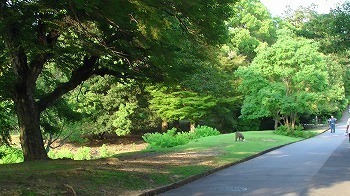 PIC_0294.jpg