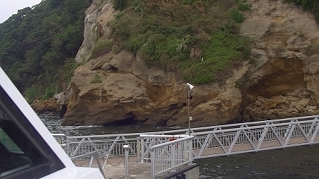 PIC_0625.jpg