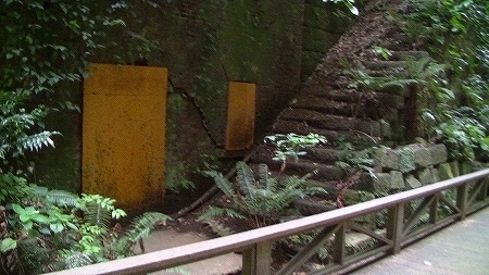 PIC_0655.jpg