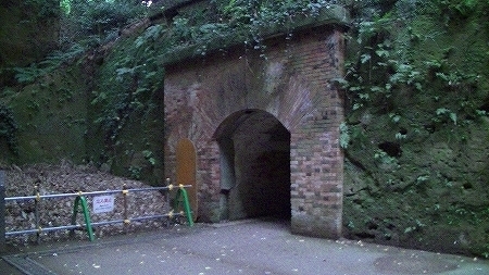 PIC_0685.jpg