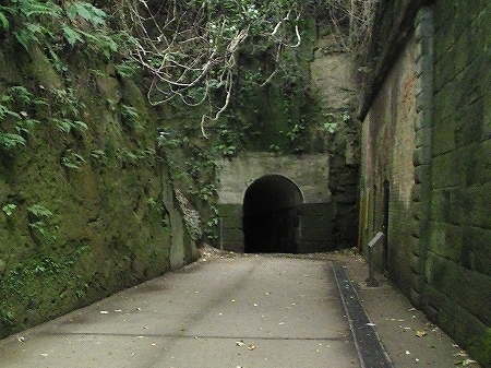 PIC_0723.jpg