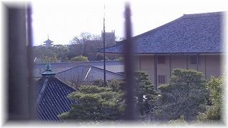 PIC_1241.jpg