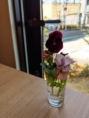 PXL_20210329_043402093.jpg