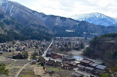 m-DSC_0290.jpg