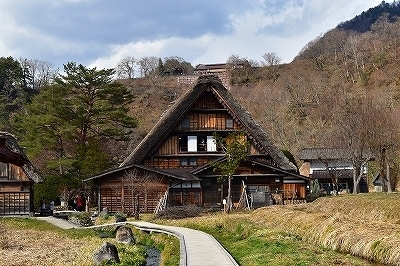 m-DSC_0333.jpg