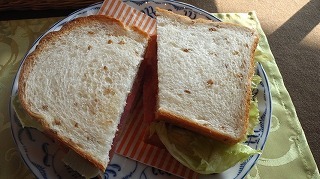 m-森のカフェサンドイッチ500.jpg