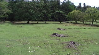 m-PIC_0667.jpg